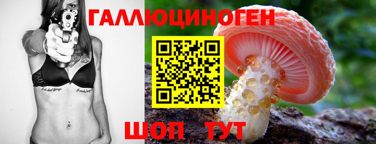 Псилоцибиновые грибы Cubensis  Вход с VPN  Краснознаменск 