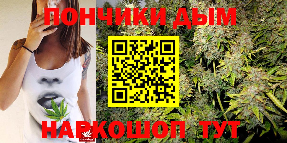 Каннабис планчик  Конопля Bruce Banner  Краснознаменск  Вход с VPN  Марихуана White Widow  Каннабис план 